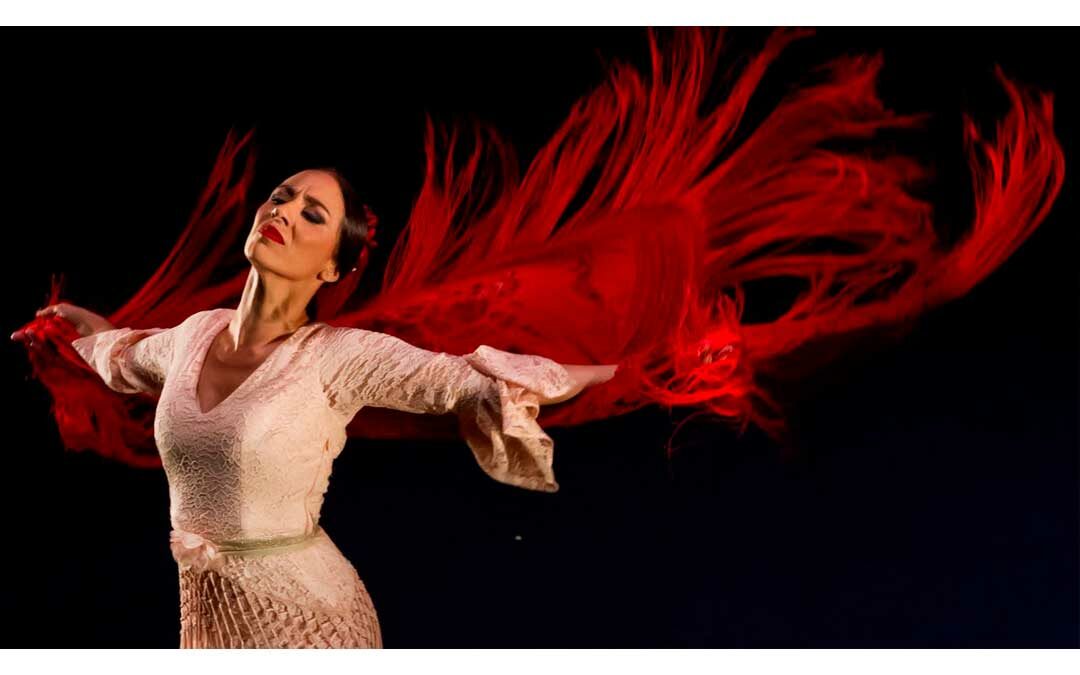 flamenco-hamburgo