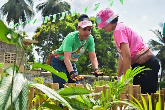 como aprovechar las oportunidades de voluntariado en alemania 3