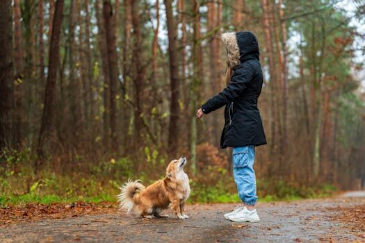 cuales son las mejores ausbildungs en alemania 1