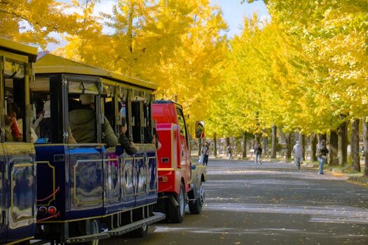 transporte publico en alemania como moverse eficientemente 5